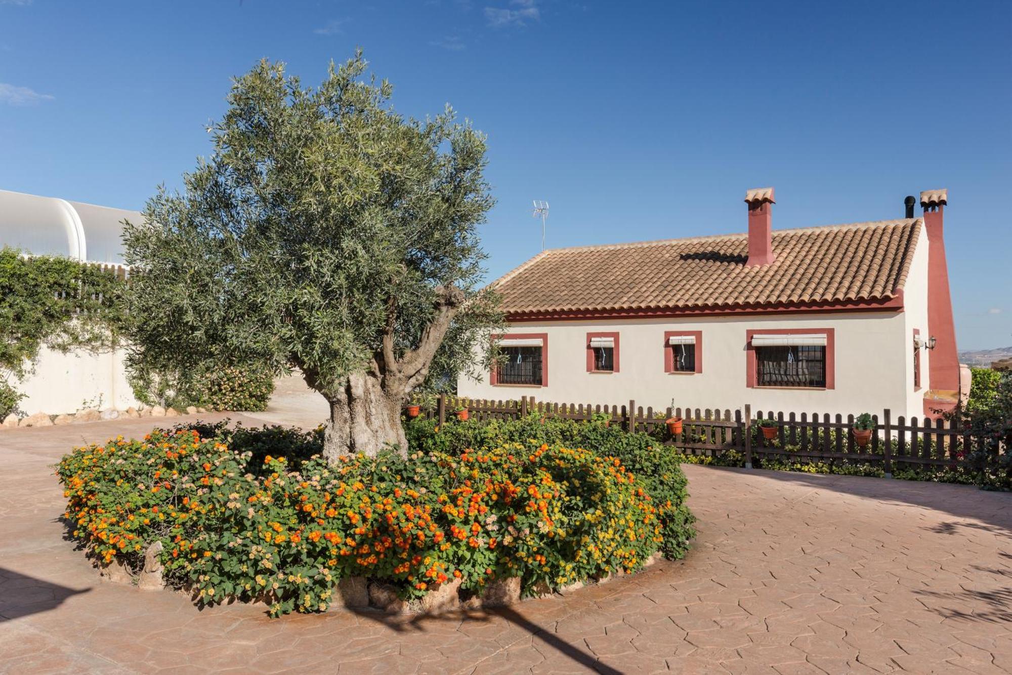Apartamento de 3 dormitorios con vistas a las montañas